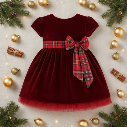 Velvet Merry Dress